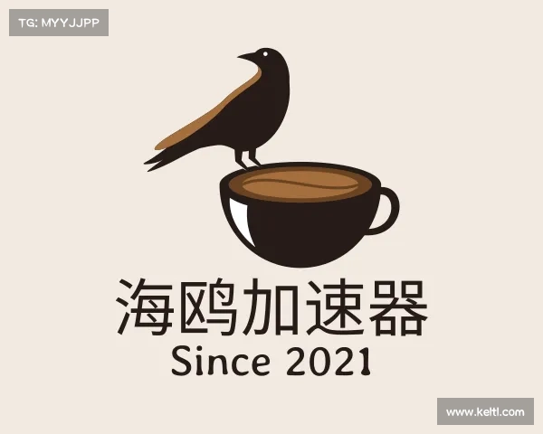 认识海鸥加速器